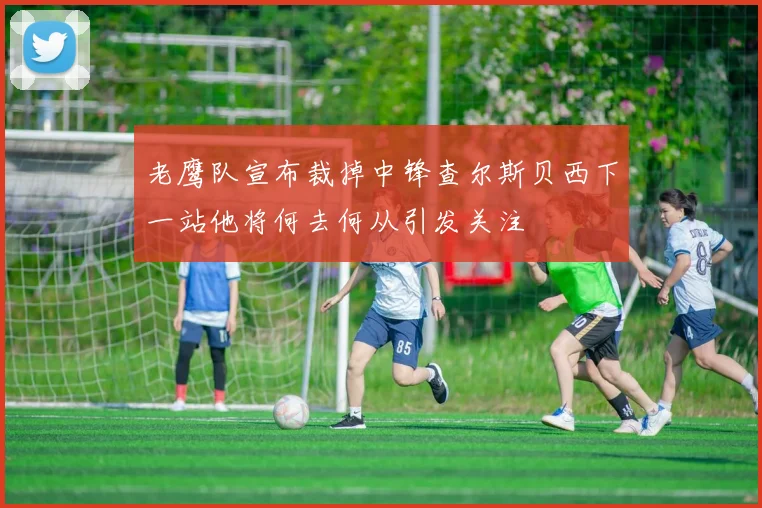 老鹰队宣布裁掉中锋查尔斯贝西下一站他将何去何从引发关注