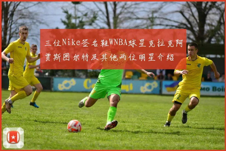 三位Nike签名鞋WNBA球星克拉克阿贾斯图尔特及其他两位明星介绍