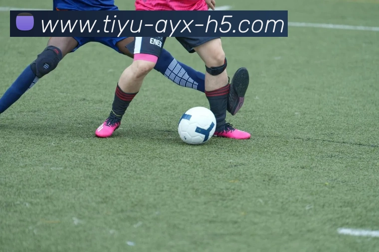 爱游戏发展历程