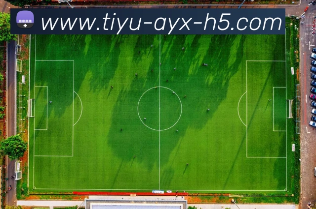 阿森纳信心满满希望与廷伯续约以奖励其出色表现